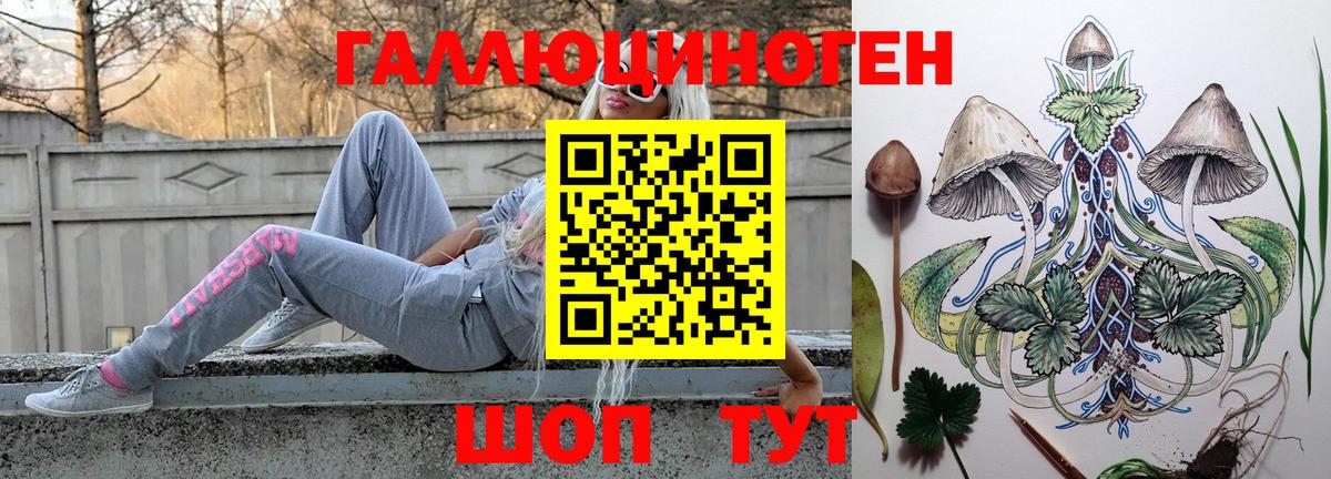 Псилоцибиновые грибы Psilocybe Зеленодольск